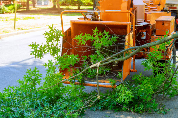 Best Grass Overseeding  in Beverly, NJ