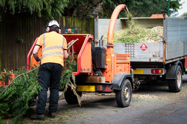 Best Lawn Irrigation Installation and Maintenance  in Beverly, NJ