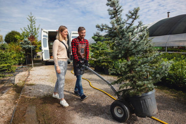 Best Fruit Tree Pruning  in Beverly, NJ